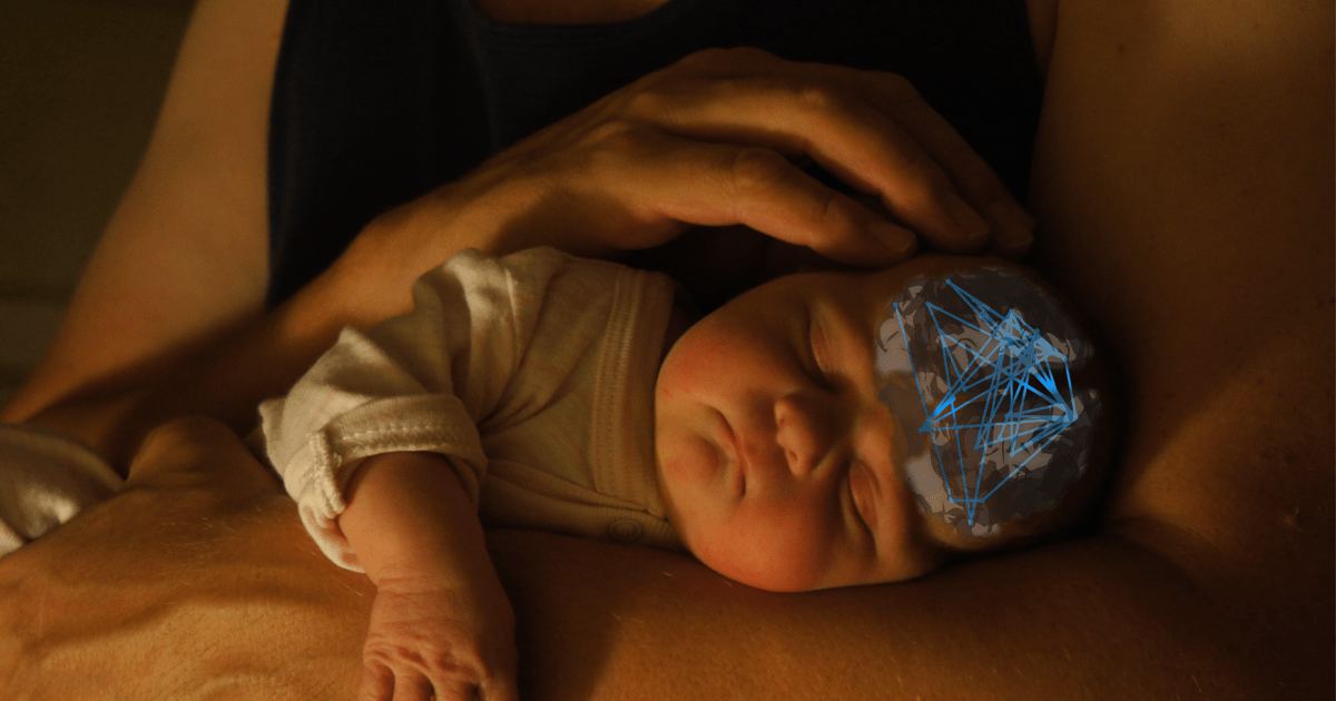 Brain Development Of The Preterm Baby Is Improved By Supporting brain-development-of-the-preterm-baby-is-improved-by-supporting